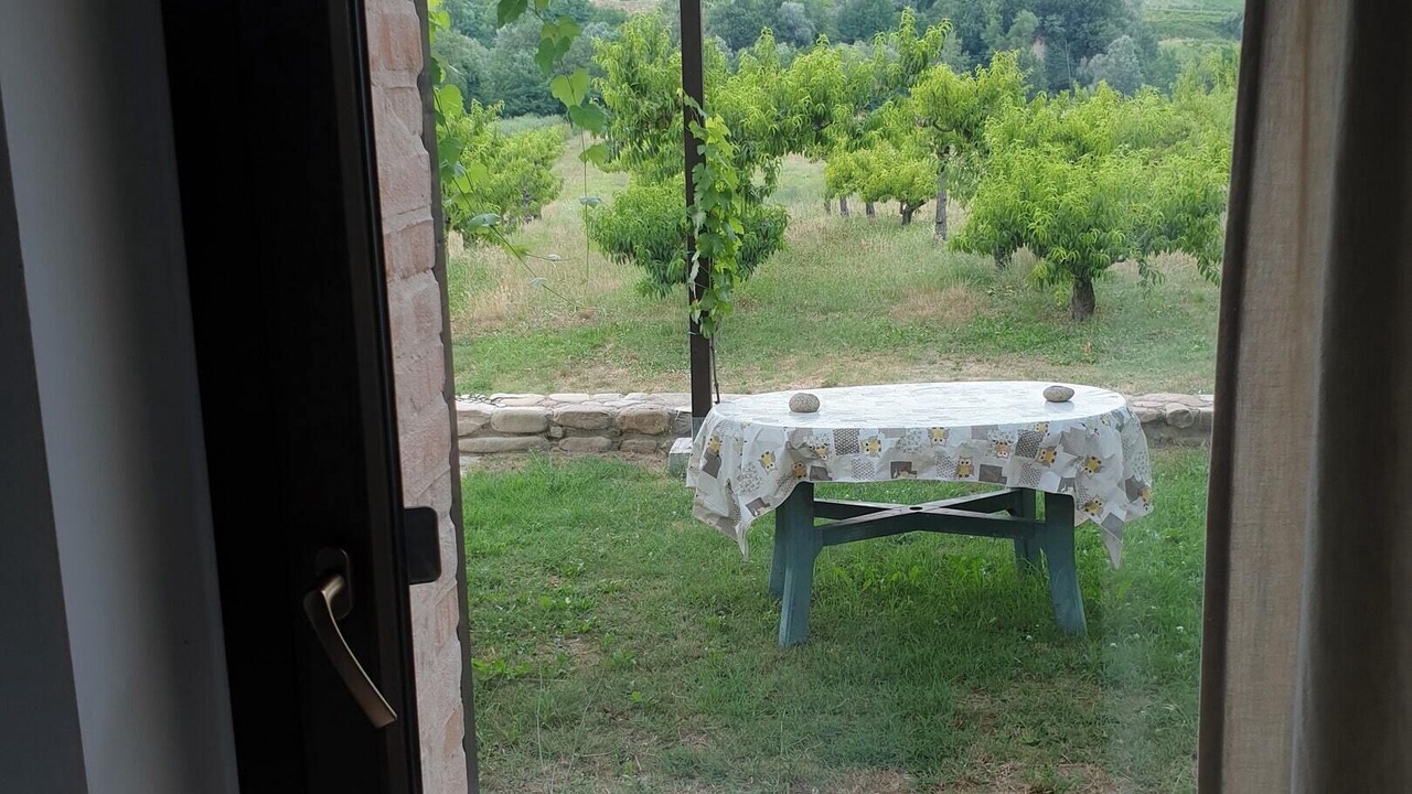 Photo of Others in Montalto delle Marche
