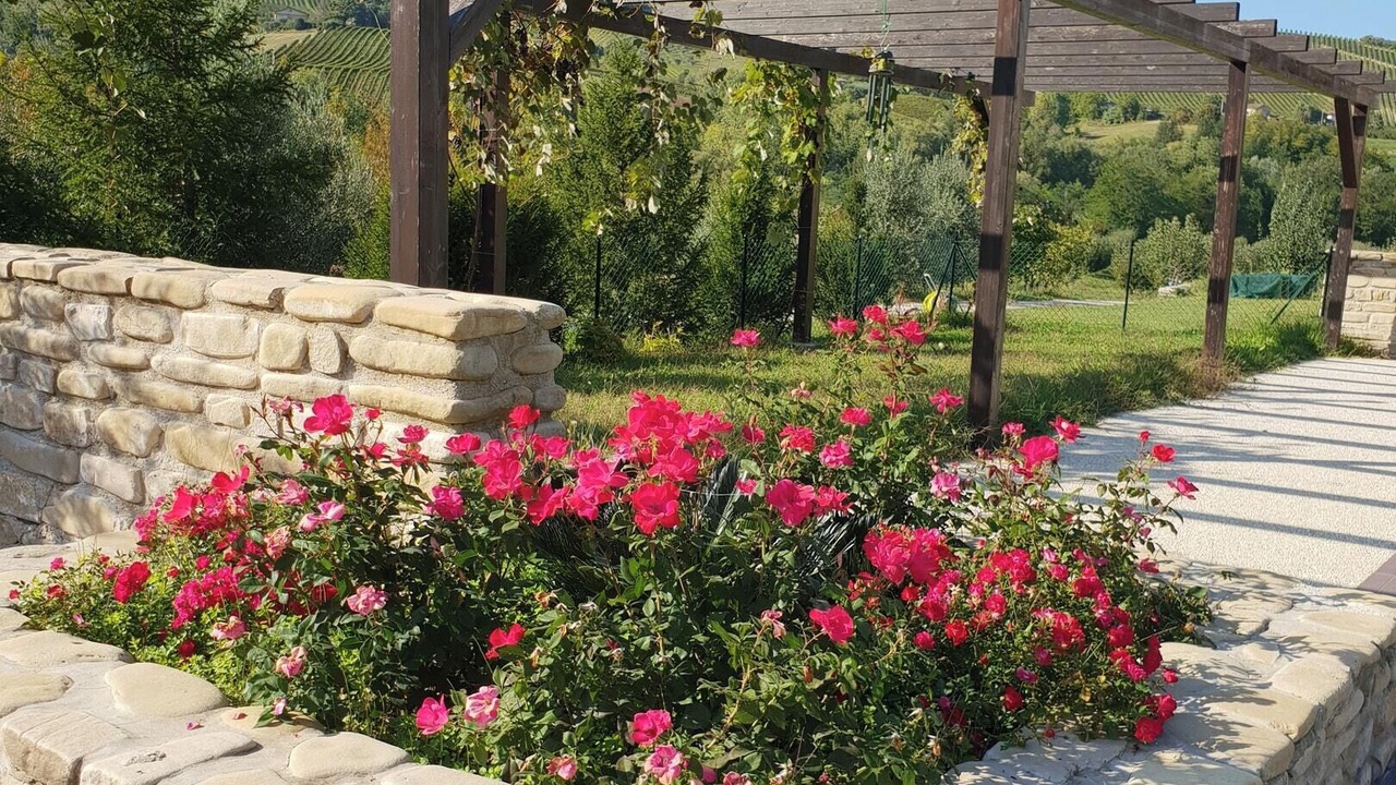 Photo of Outdoor in Montalto delle Marche