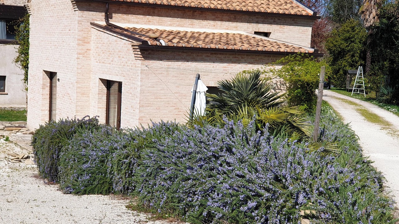Photo of Outdoor in Montalto delle Marche