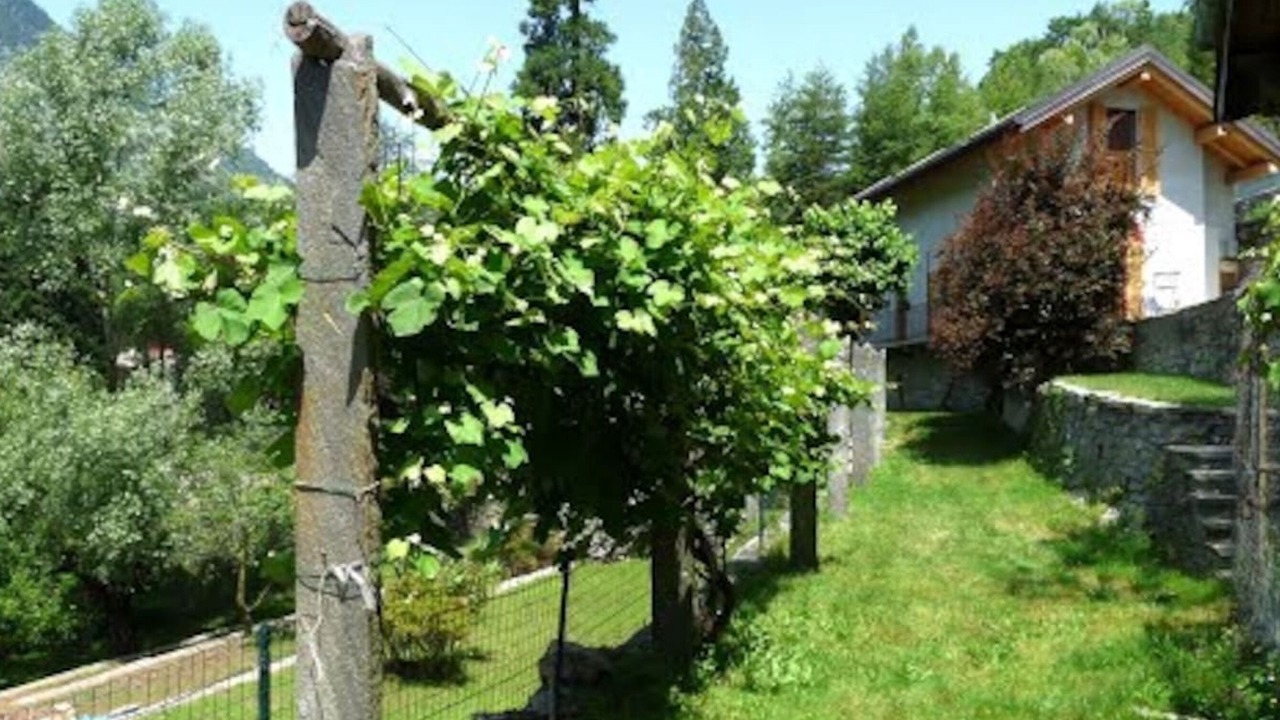 Photo of Outdoor in Montecrestese
