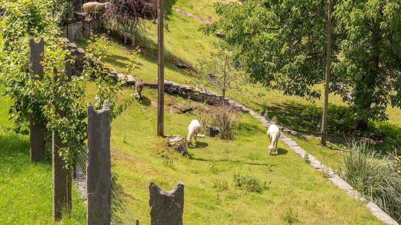 Photo of Outdoor in Montecrestese