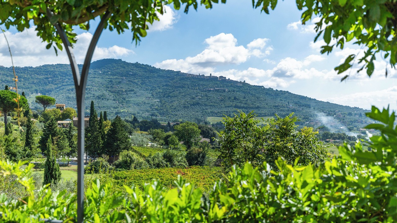 Photo of Outdoor in San Pietro a Cegliolo