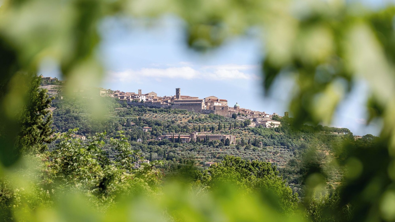 Photo of Outdoor in San Pietro a Cegliolo