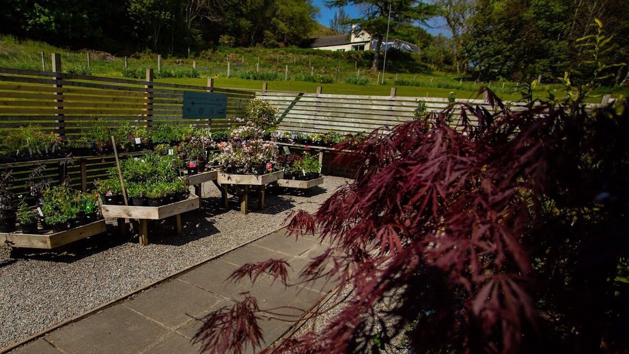 Photo of Outdoor in Arduaine