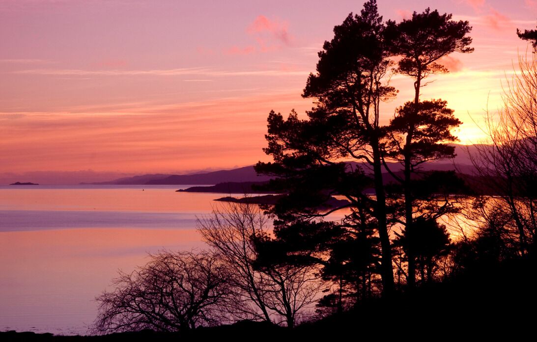Photo of Outdoor in Arduaine