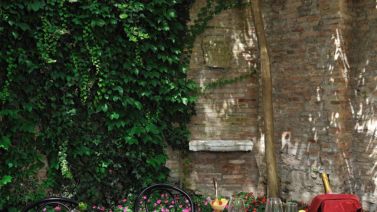 Photo of Others in Urbino