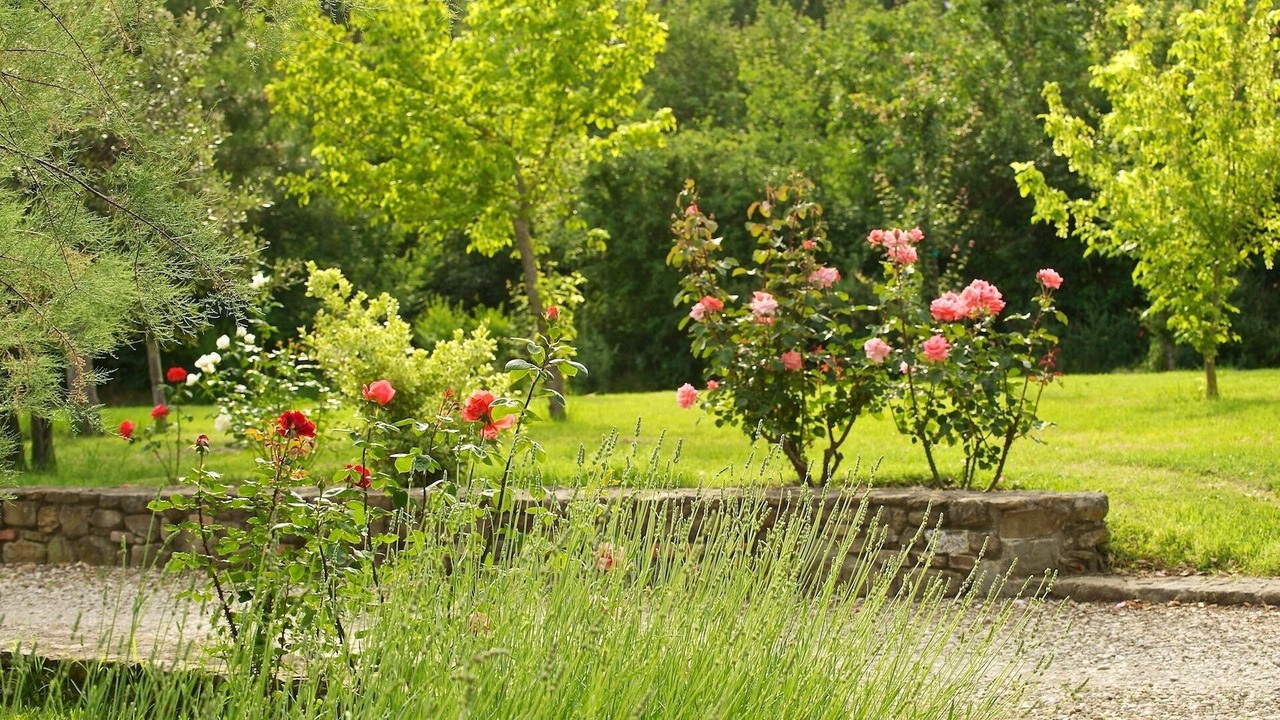 Photo of Outdoor in San Pietro a Cegliolo