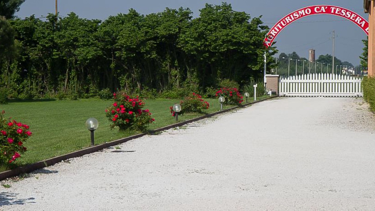 Photo of Outdoor in Tessera