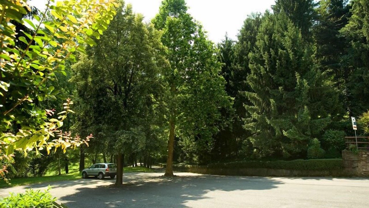 Photo of Outdoor in Darfo Boario Terme