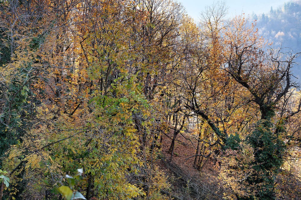 Photo of Outdoor in Venasca