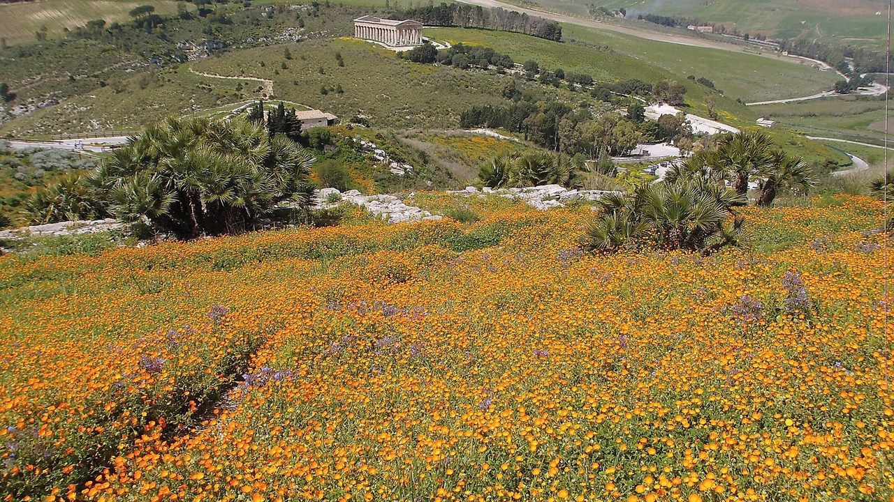 Photo of Outdoor in Seccagrande