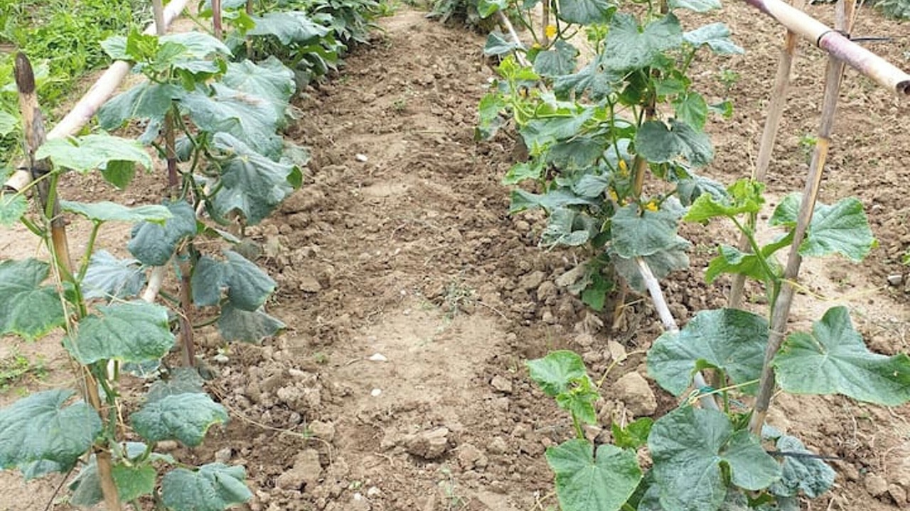 Photo of Outdoor in Montalto delle Marche