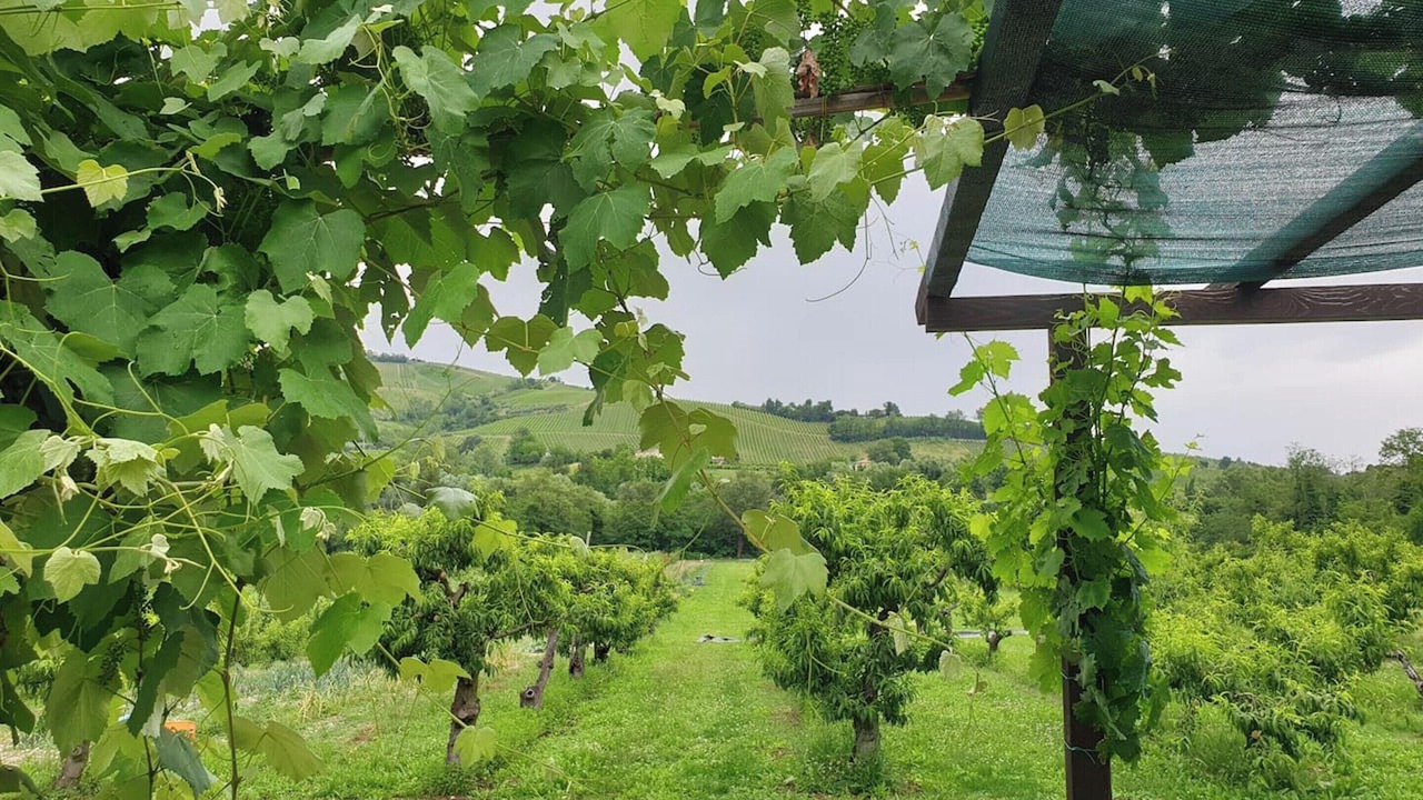 Photo of Outdoor in Montalto delle Marche