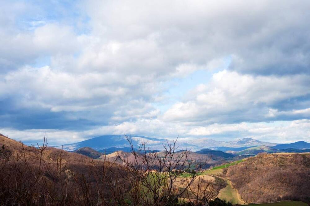Photo of Others in Urbino