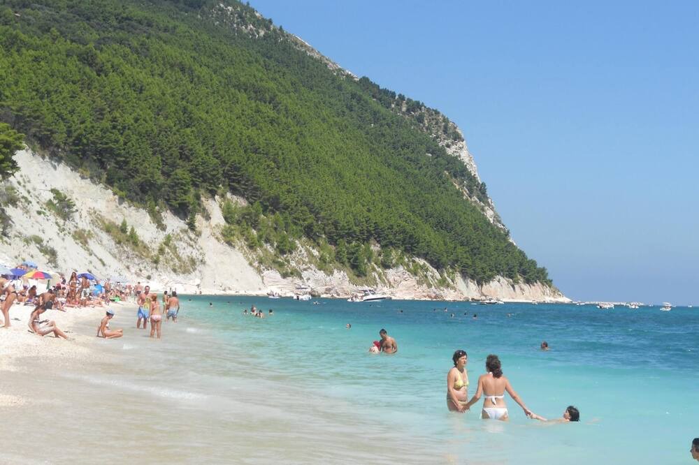 Photo of Others in Montelabbate