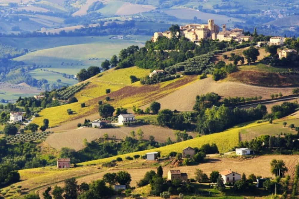 Photo of Others in Montelabbate