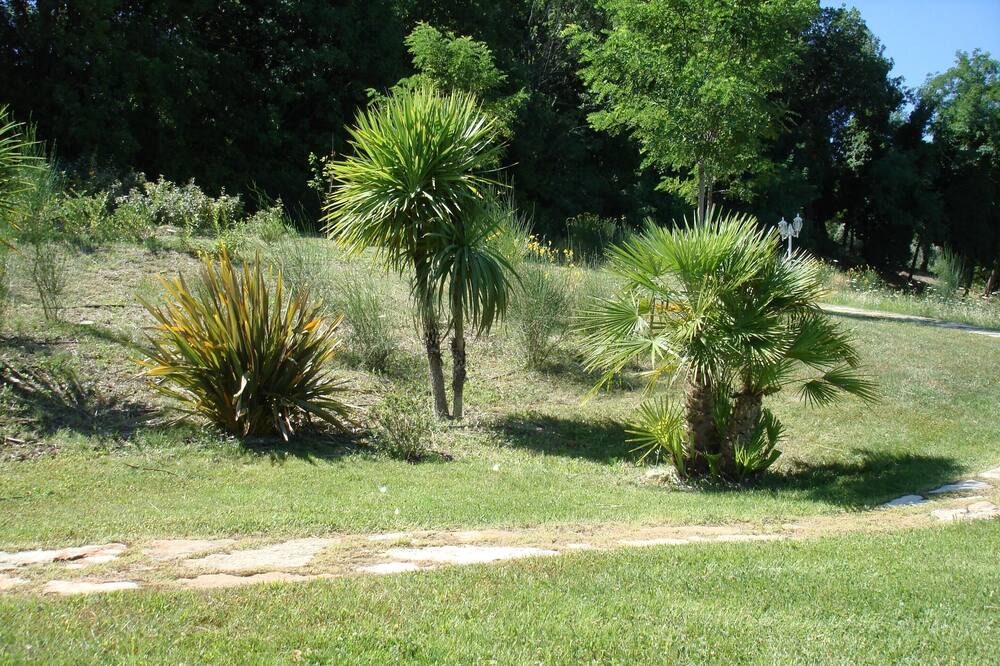 Photo of Outdoor in Montelabbate