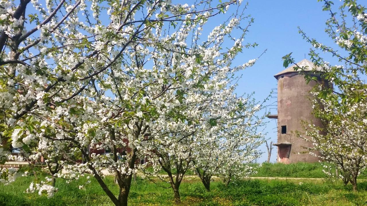 Photo of Outdoor in Segni
