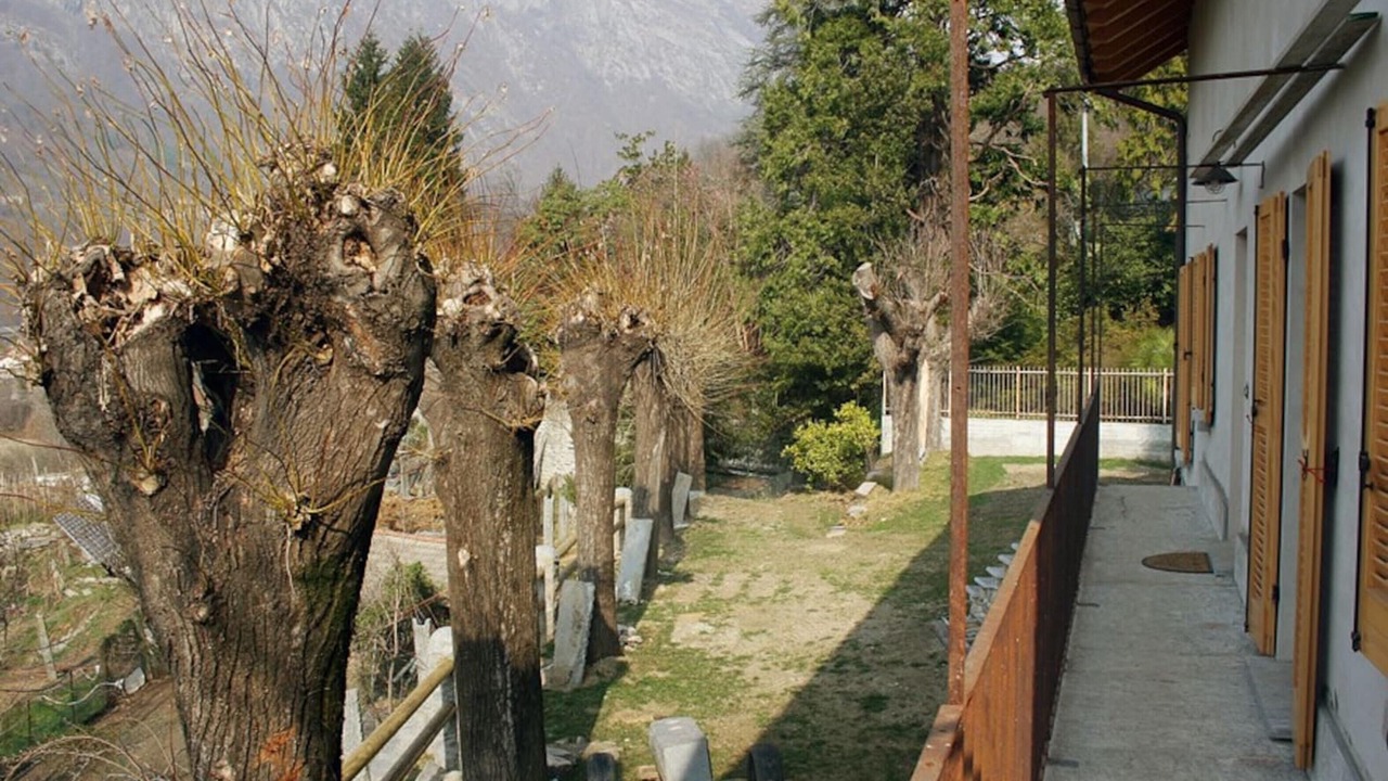 Photo of Outdoor in Montecrestese