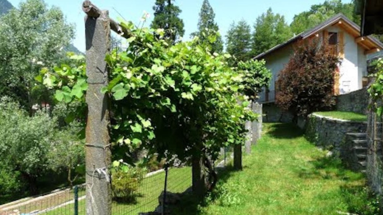 Photo of Outdoor in Montecrestese