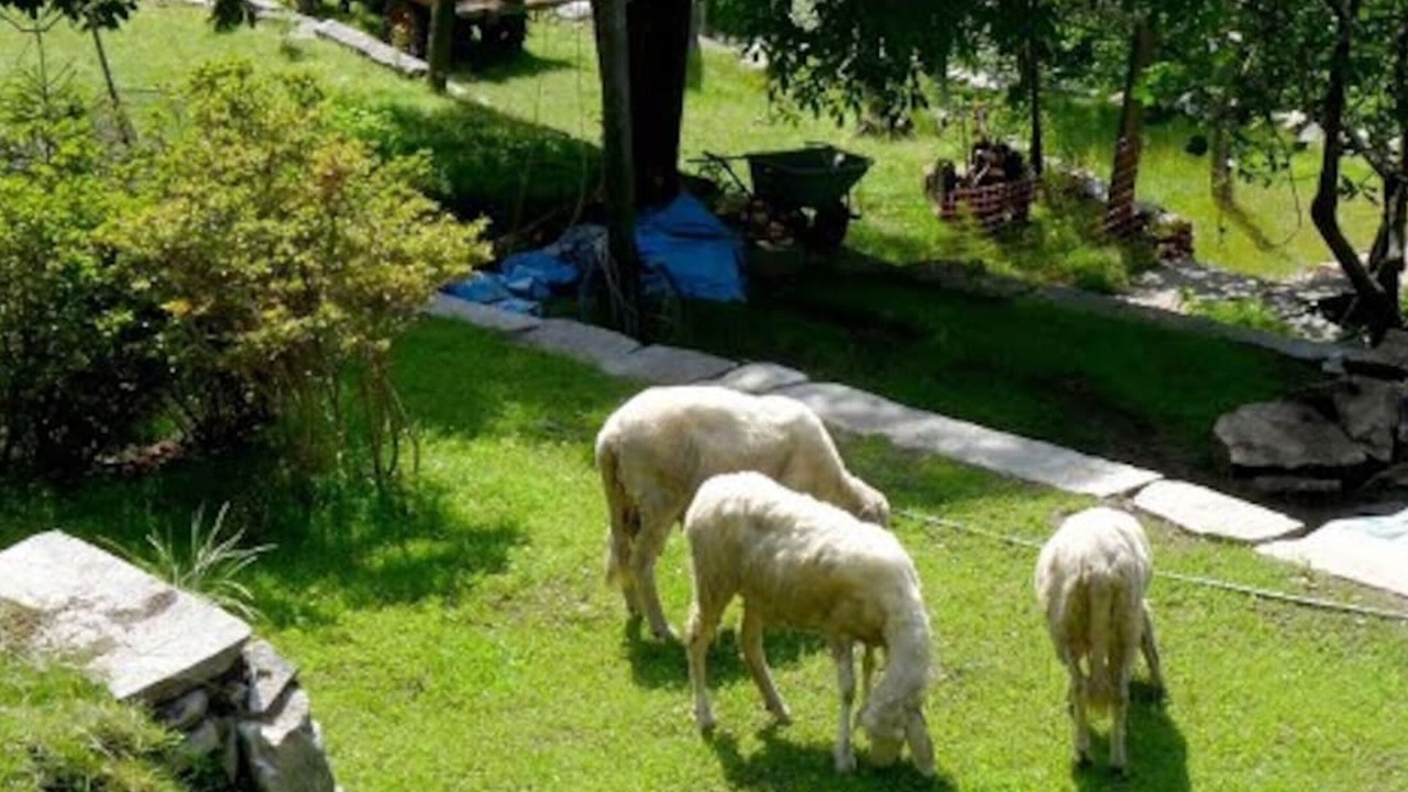 Photo of Outdoor in Montecrestese
