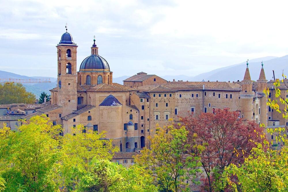 Photo of Others in Urbino