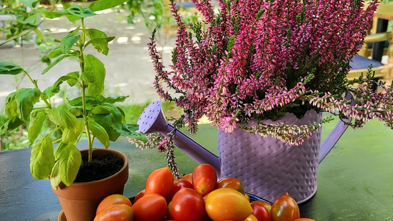 Photo of Outdoor in Pristina