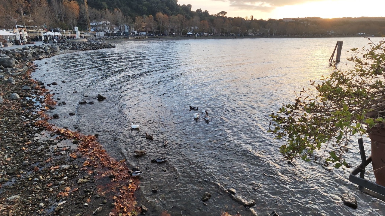 Photo of Outdoor in Lake Bracciano