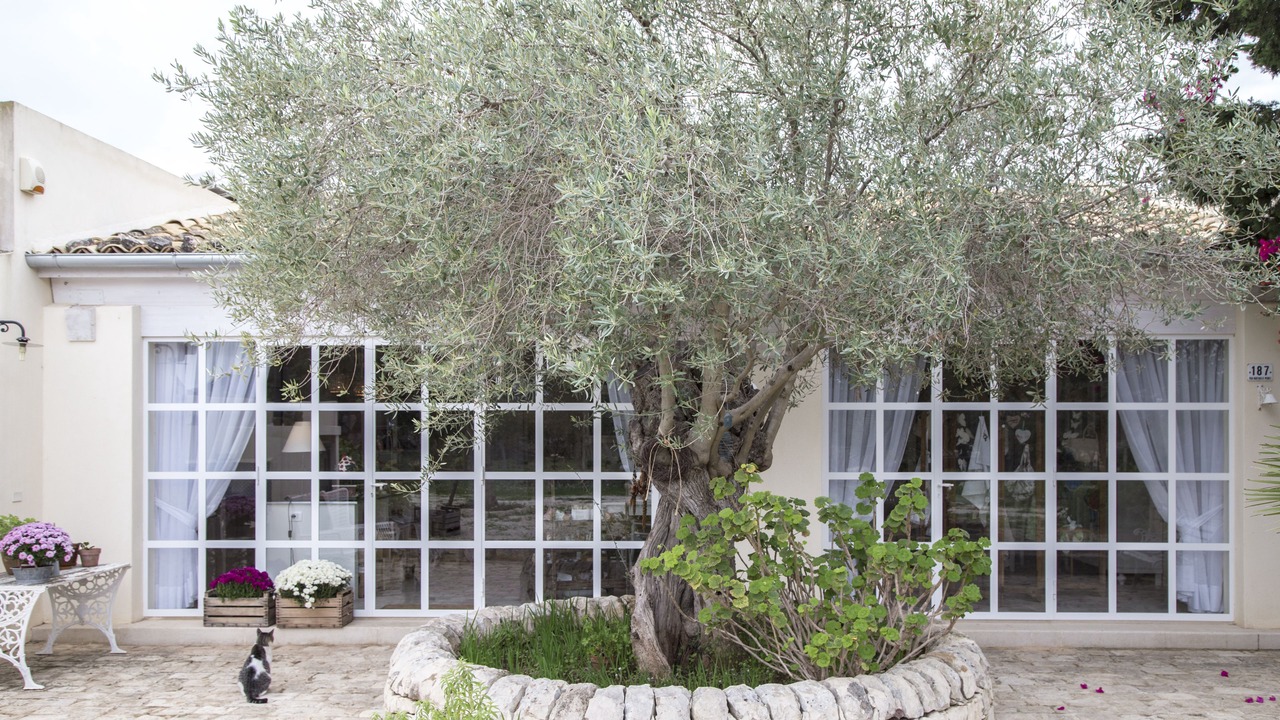 Photo of Outdoor in Modica