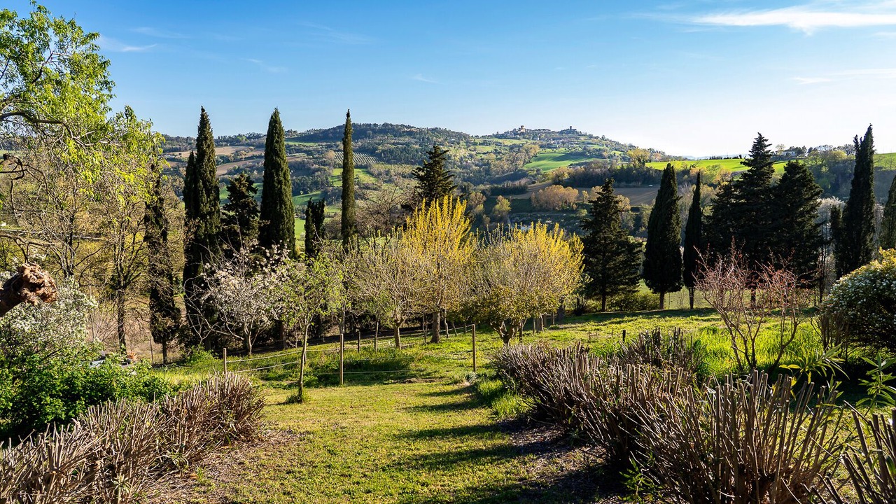 Photo of Outdoor in Montesicuro