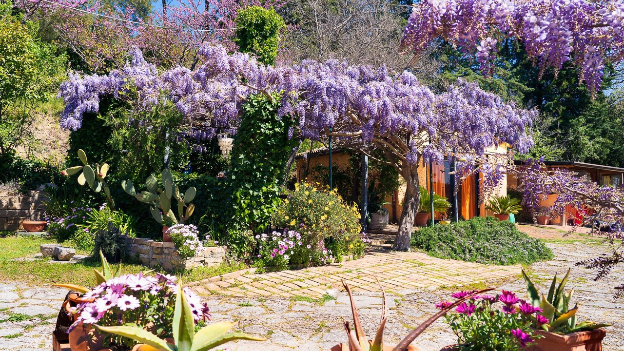 Photo of Outdoor in Montesicuro