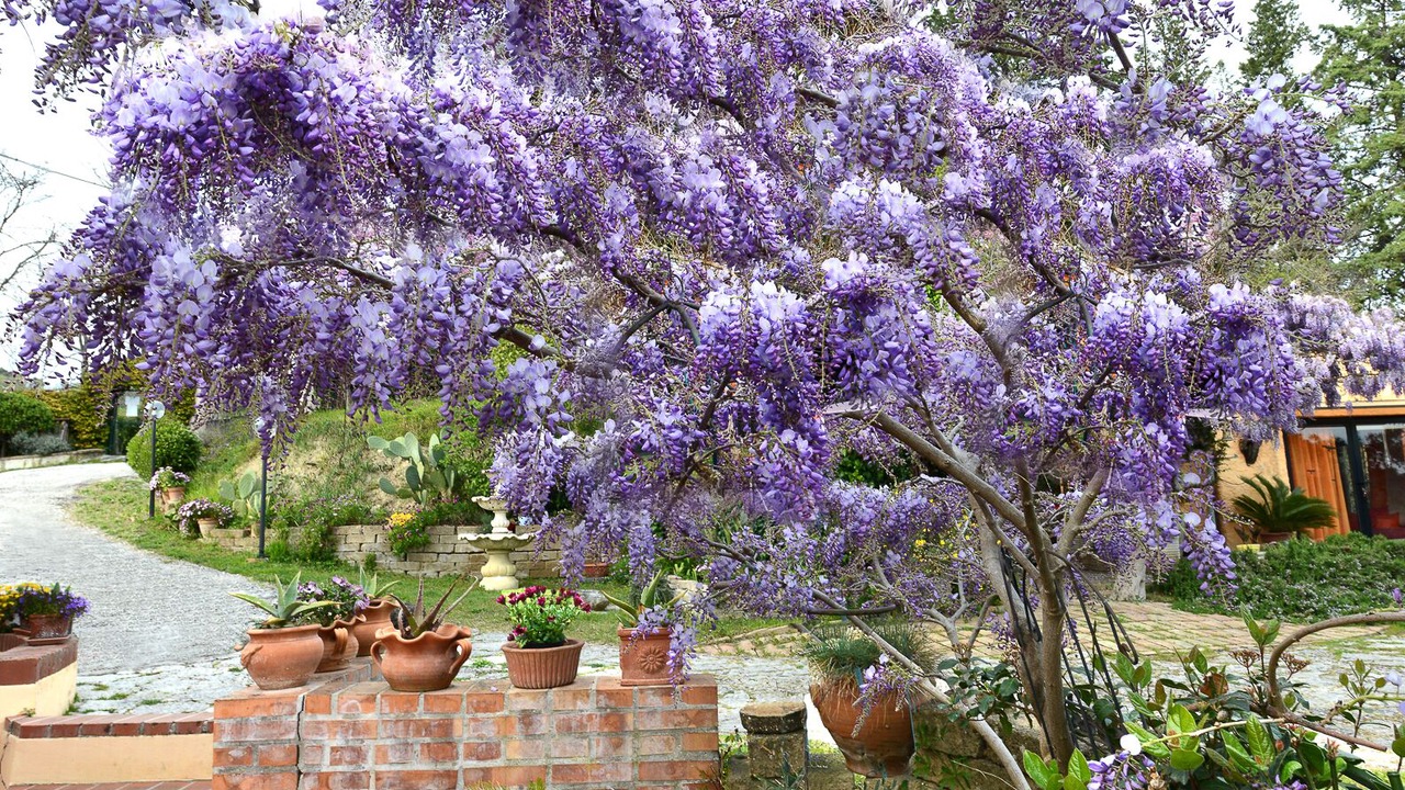 Photo of Outdoor in Montesicuro