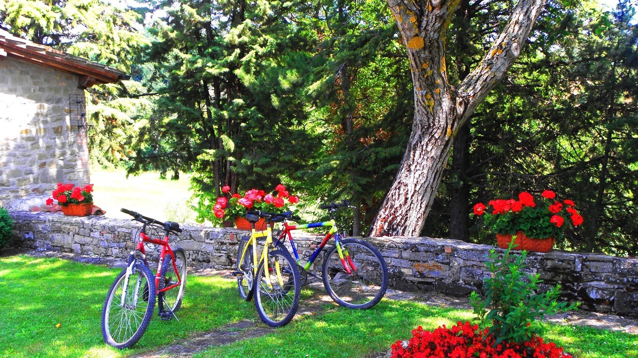 Photo of Outdoor in Nerbisci