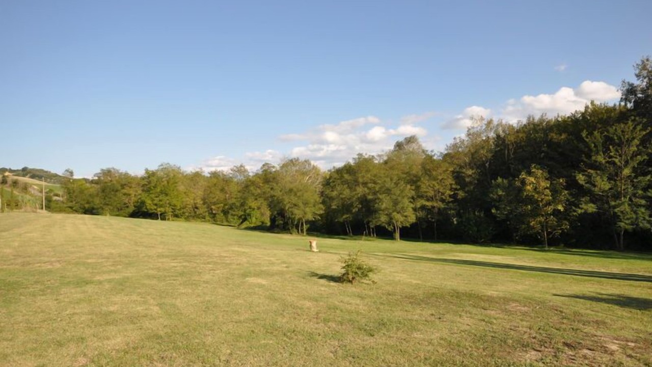 Photo of Outdoor in Certaldo