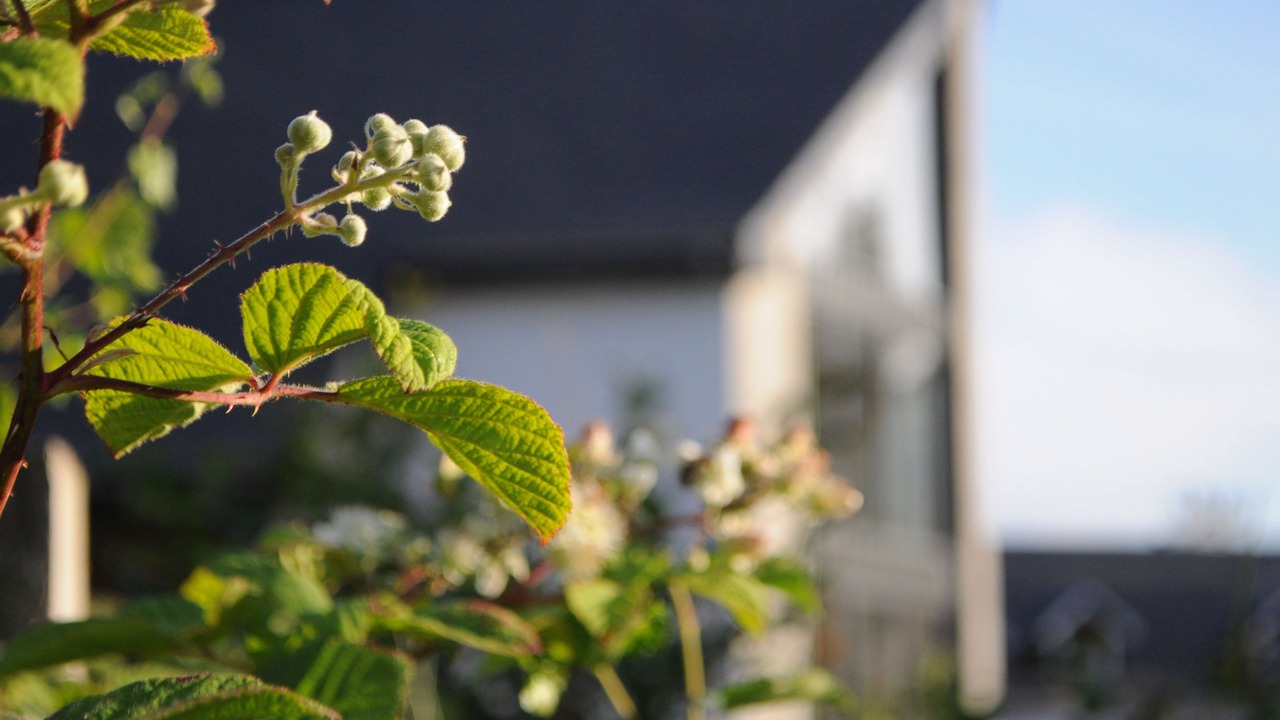 Photo of Outdoor in West Laroch