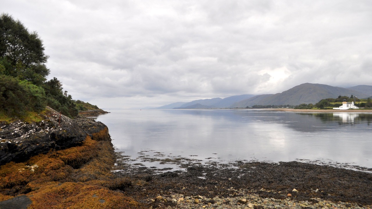 Photo of Others in West Laroch