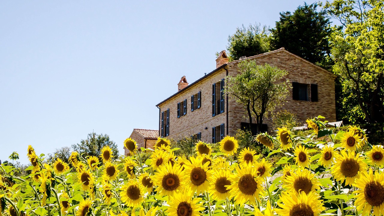 Photo of Outdoor in Ostra Vetere