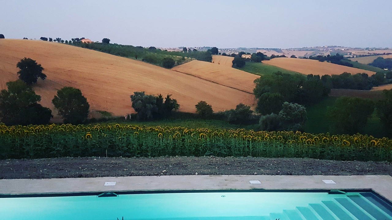 Photo of Others in Ostra Vetere