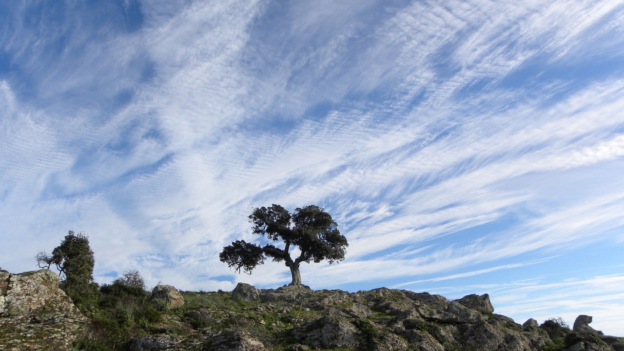 Photo of Outdoor in Bosa