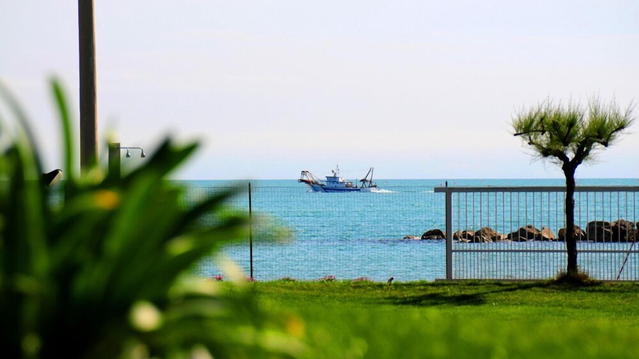Photo of Others in Cologna Spiaggia