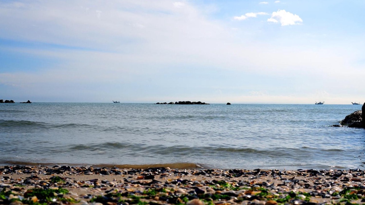 Photo of Others in Cologna Spiaggia