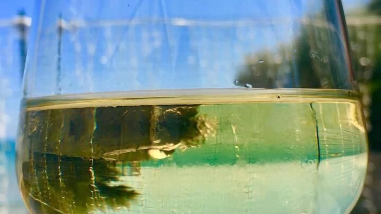 Photo of Outdoor in Cologna Spiaggia