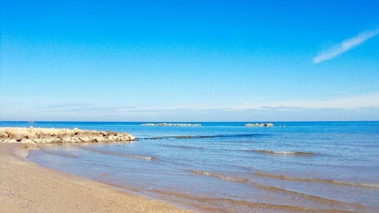 Photo of Others in Cologna Spiaggia