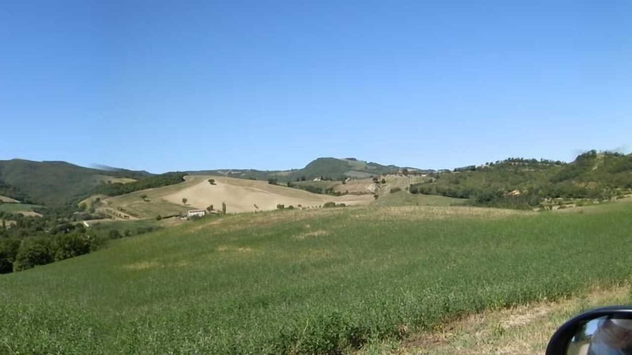 Photo of Others in Urbania