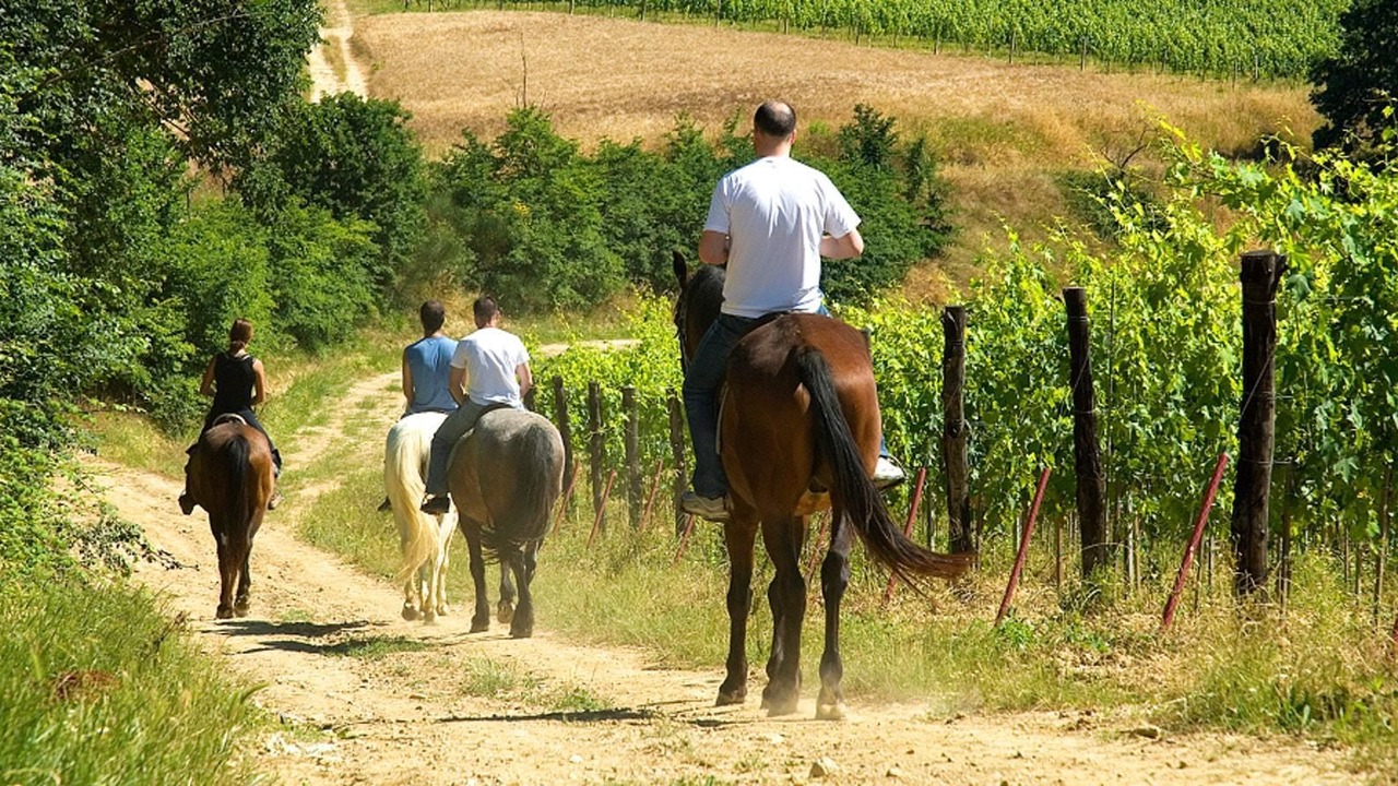 Photo of Others in Montefollonico