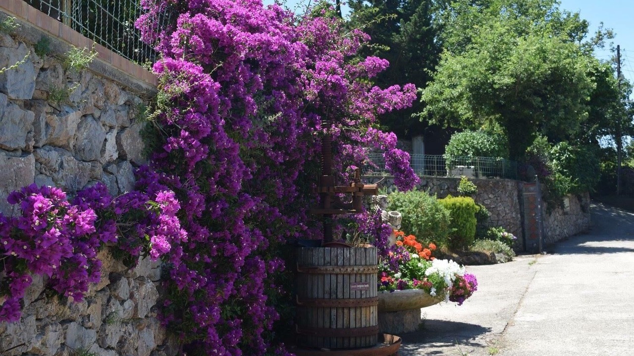 Photo of Outdoor in Anacapri