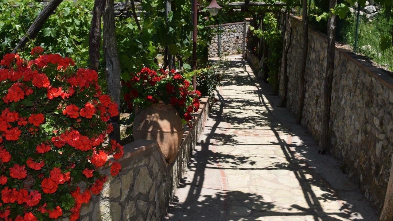 Photo of Outdoor in Anacapri