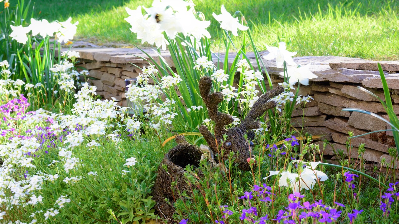 Photo of Outdoor in Dungannon