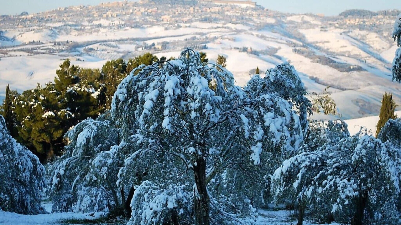 Photo of Outdoor in Saline di Volterra