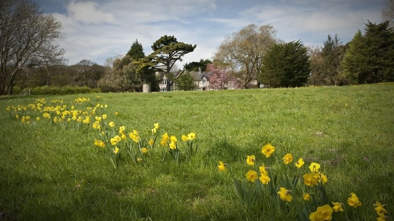 Photo of Outdoor in Crynant